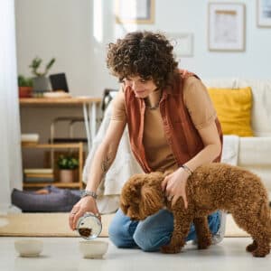 Fresh Vs. Freeze-Dried Dog Food: How Do They Compare? | Blog Post